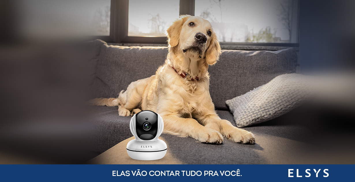 vigie-seu-pet-em-tempo-real-pelo-aplicativo