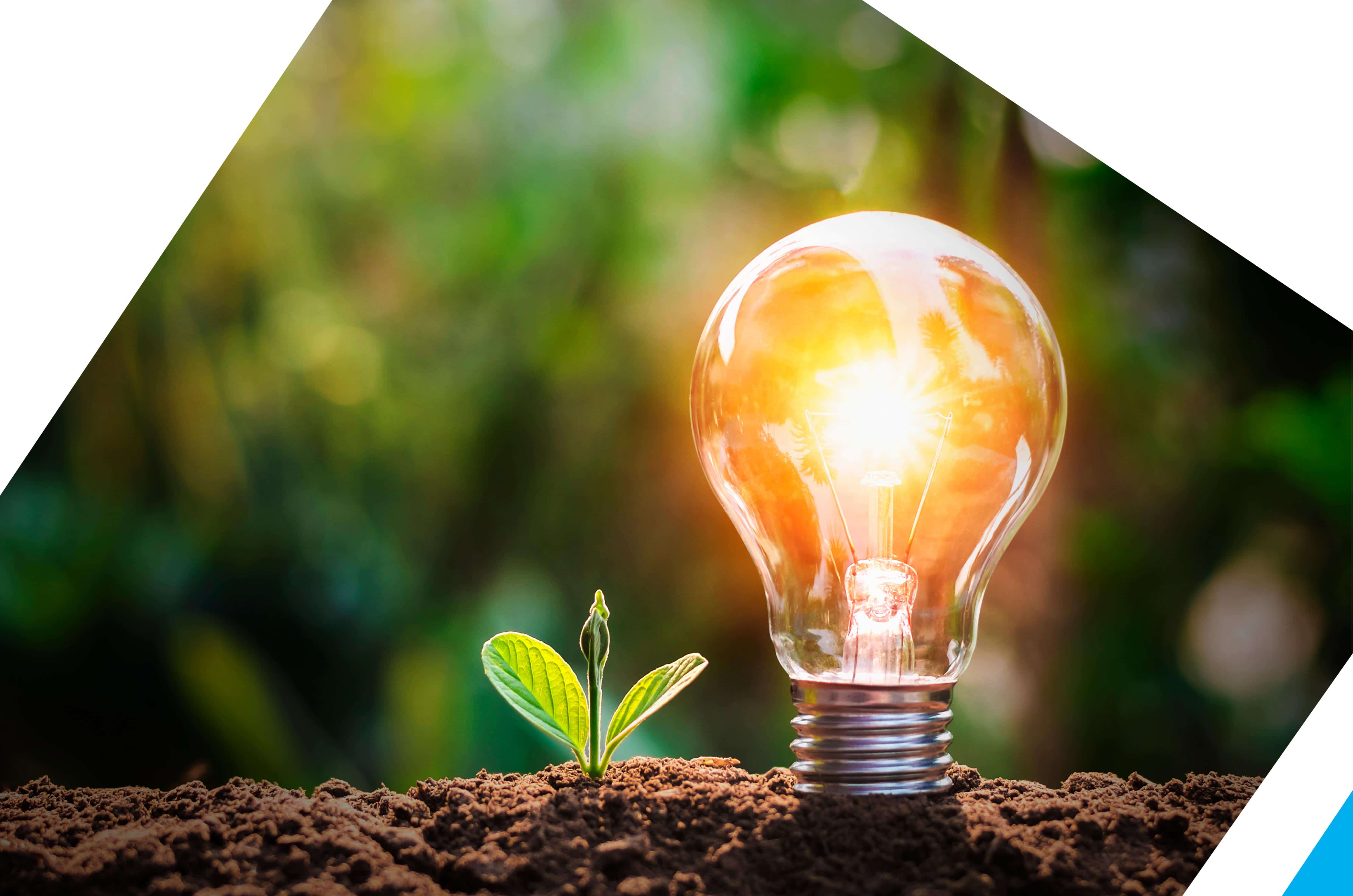 Economizar energia: dinheiro ou futuro?